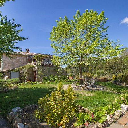 Ca'Novae - Tuscany Farmhouse Montieri ภายนอก รูปภาพ