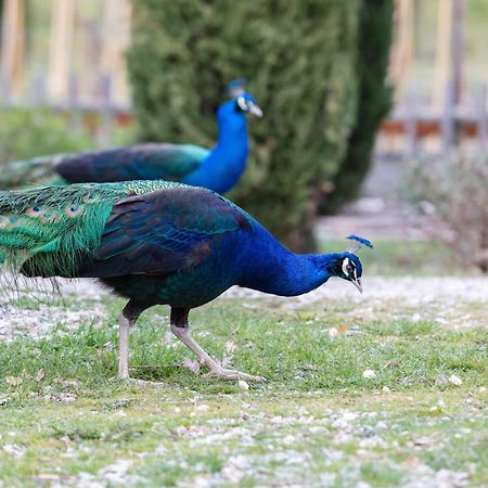 Ca'Novae - Tuscany Farmhouse Montieri ภายนอก รูปภาพ