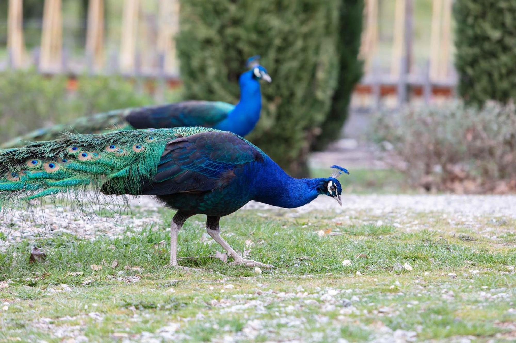Ca'Novae - Tuscany Farmhouse Montieri ภายนอก รูปภาพ